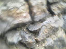 Carrowmore  10395.jpg